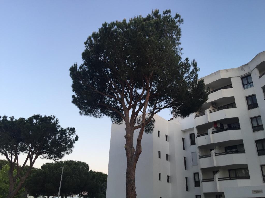 Golf & Mar - T2 Apartment Vilamoura Exterior photo